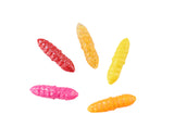 Trout Collector Larva Assortments